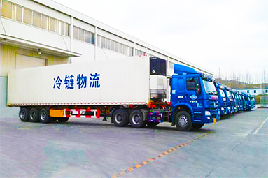 Cold-chain Logistics